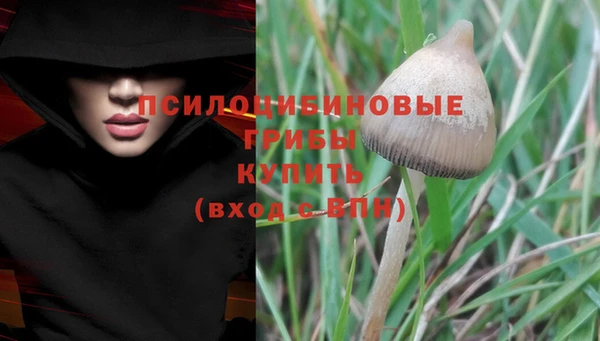 дживик Козловка