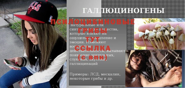 первитин Козельск