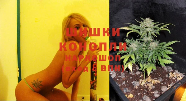 дживик Козловка