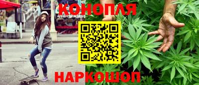 стафф Брянск