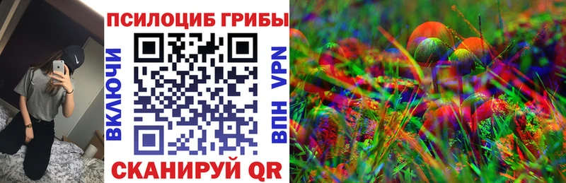 Псилоцибиновые грибы мицелий Купить где Краснотурьинск