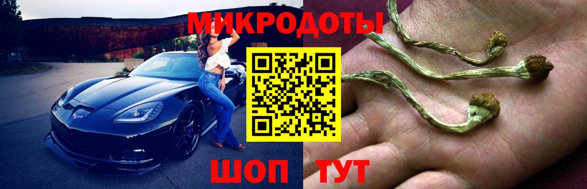 Галлюциногенные грибы Magic Shrooms  наркошоп  Краснотурьинск 